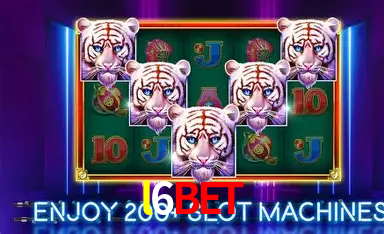 l6bet